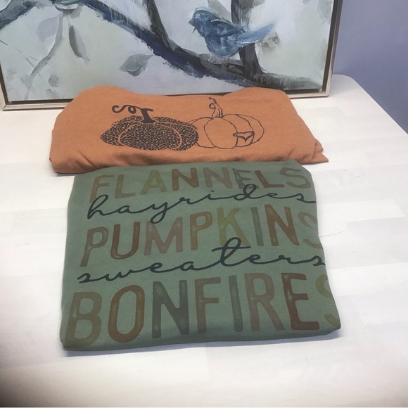 Fall pumpkins bundle of two Women’s 2X Darling Tees - Picture 5 of 7